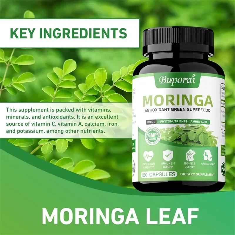 كبسولات المورينجا - مضادات أكس - مراجعة Moringa Leaf Powder وسعره